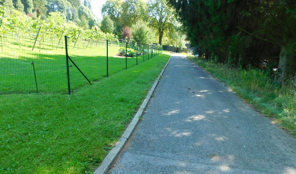 Prodej stavebního pozemku 3 446 m², Jablonec nad Nisou – náhled fotky 11