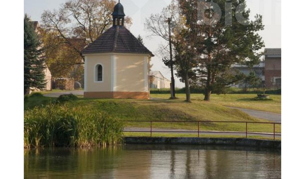 Prodej zahrady 829 m², Puclice – náhled fotky 6