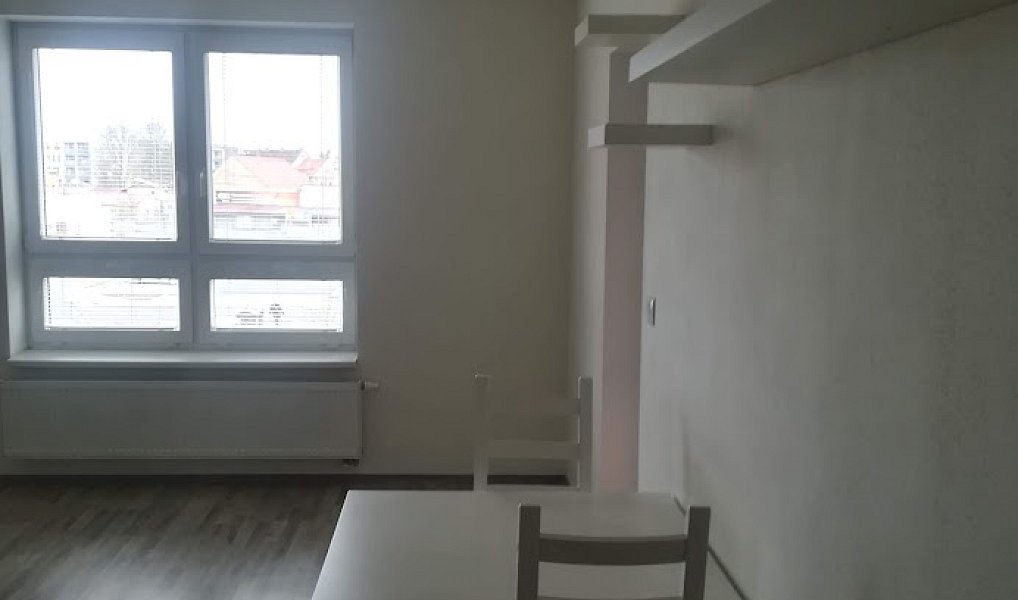 Pronájem bytu 1+kk 31 m², Plzeň – náhled fotky 2