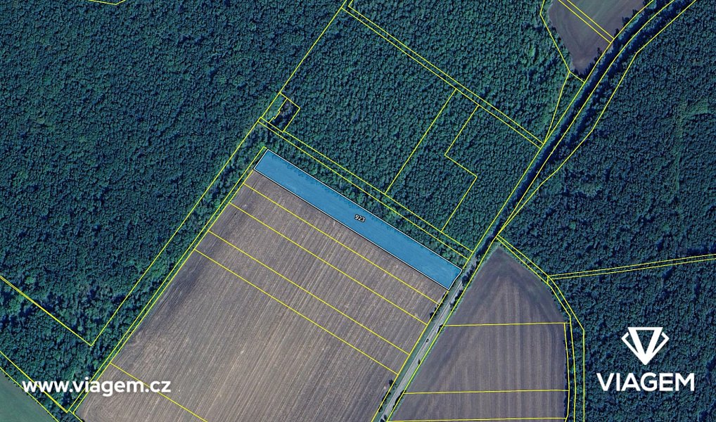 Prodej pole 3 298 m², Smidary – náhled fotky 4