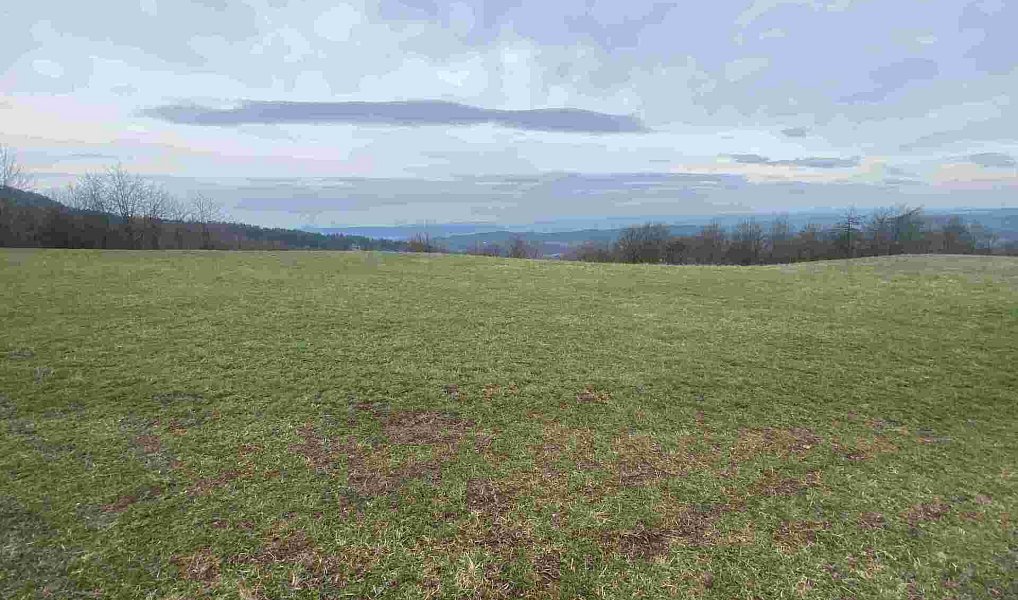 Prodej pole 14 714 m², Mírová pod Kozákovem – náhled fotky 2