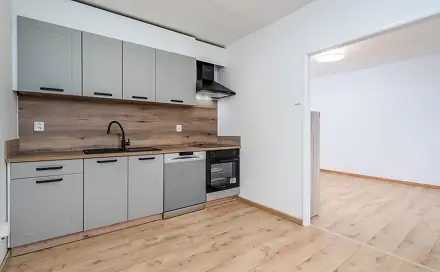 Prodej bytu 3+1 55 m²