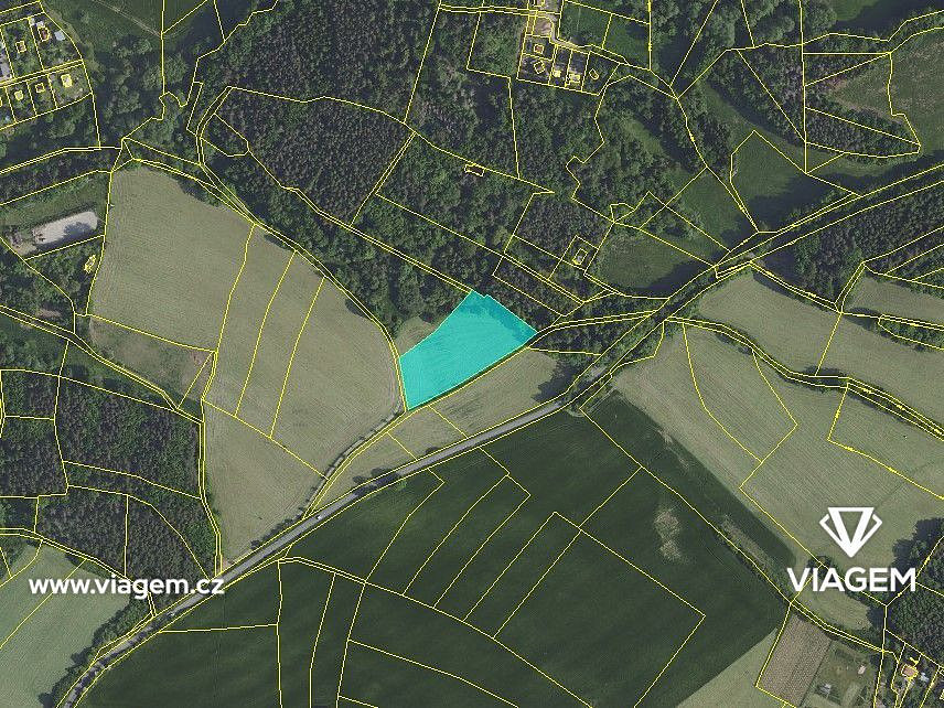 Prodej pole 2 167 m² – fotografie 4