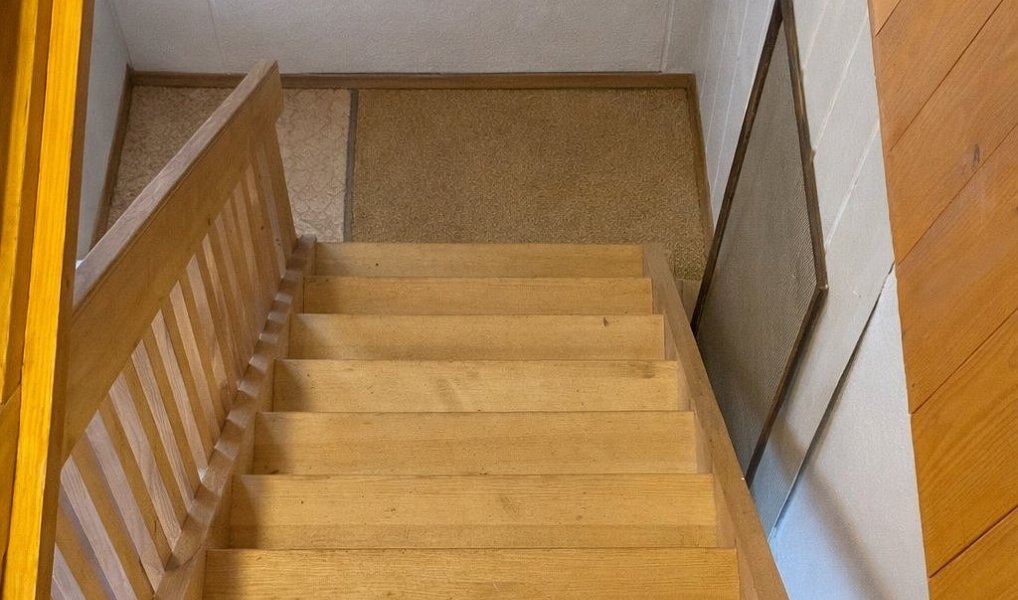Prodej chaty/chalupy 50 m² s pozemkem 858 m², Doubravice nad Svitavou – náhled fotky 6