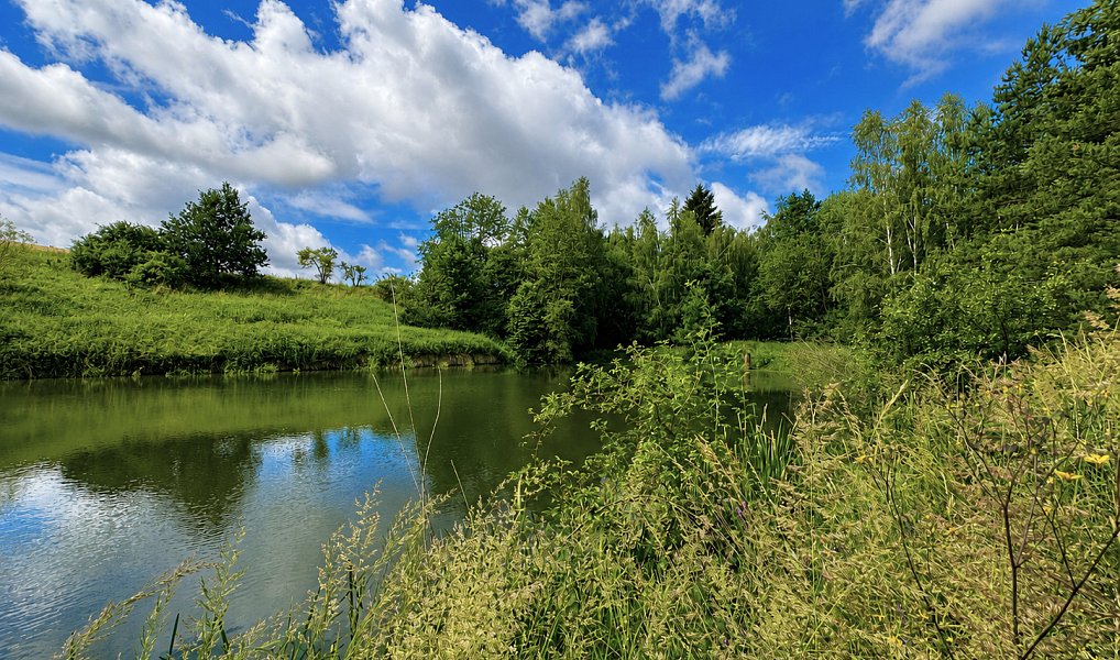 Prodej vodní plochy 25 771 m², Dačice – náhled fotky 17