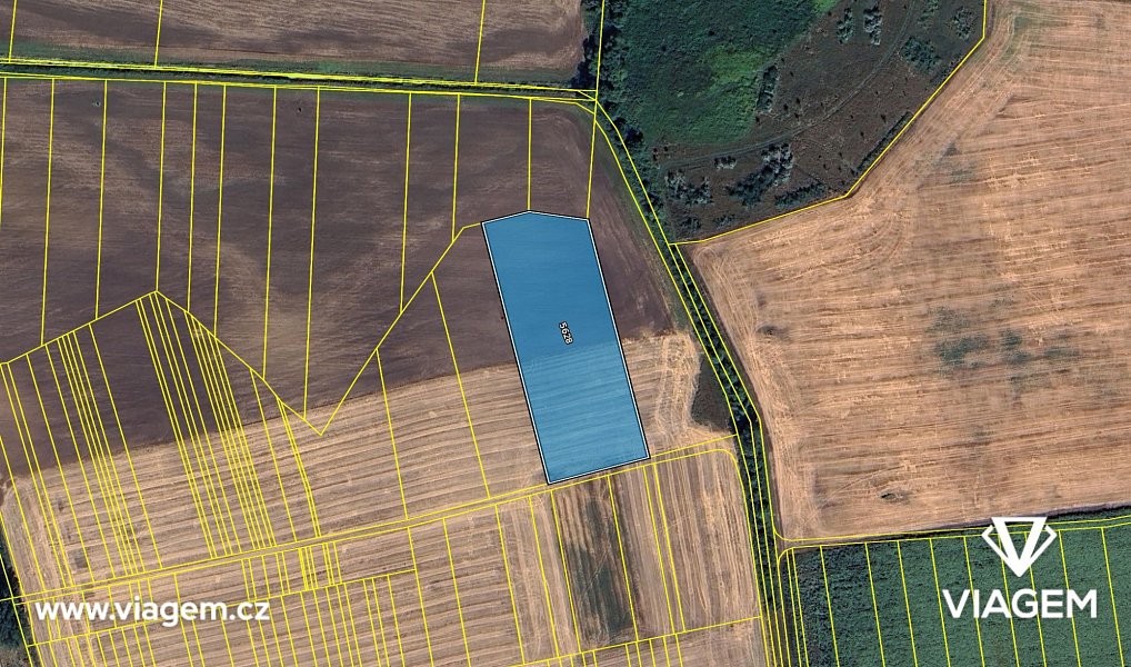 Prodej pole 1 489 m², Milotice – náhled fotky 4