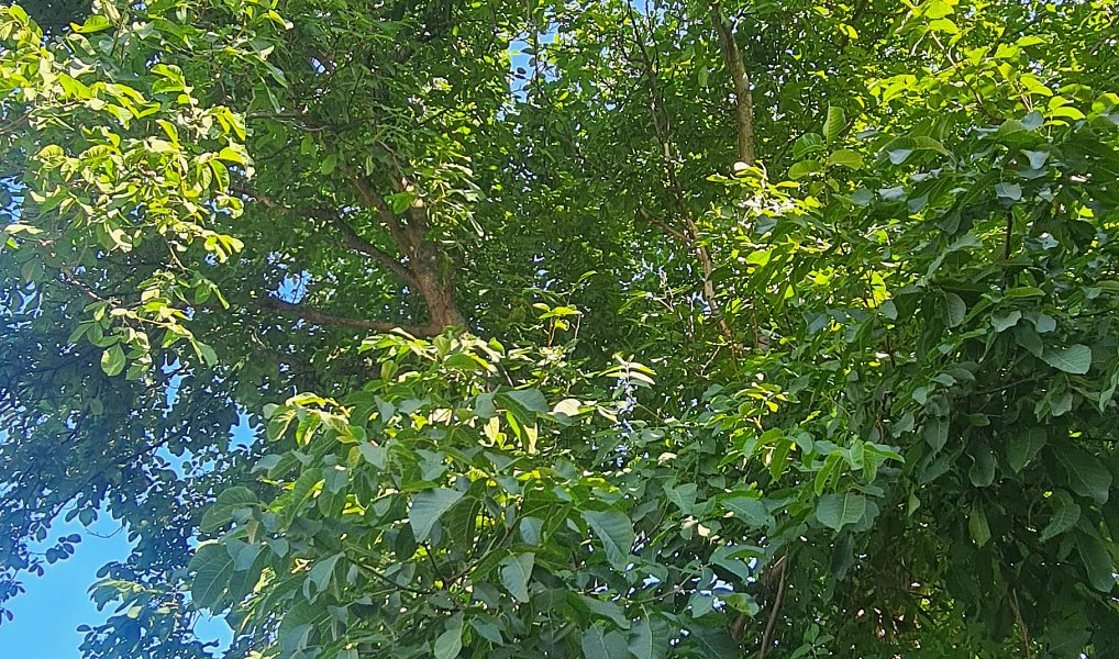 Prodej domu 53 m², Záboří nad Labem – náhled fotky 3