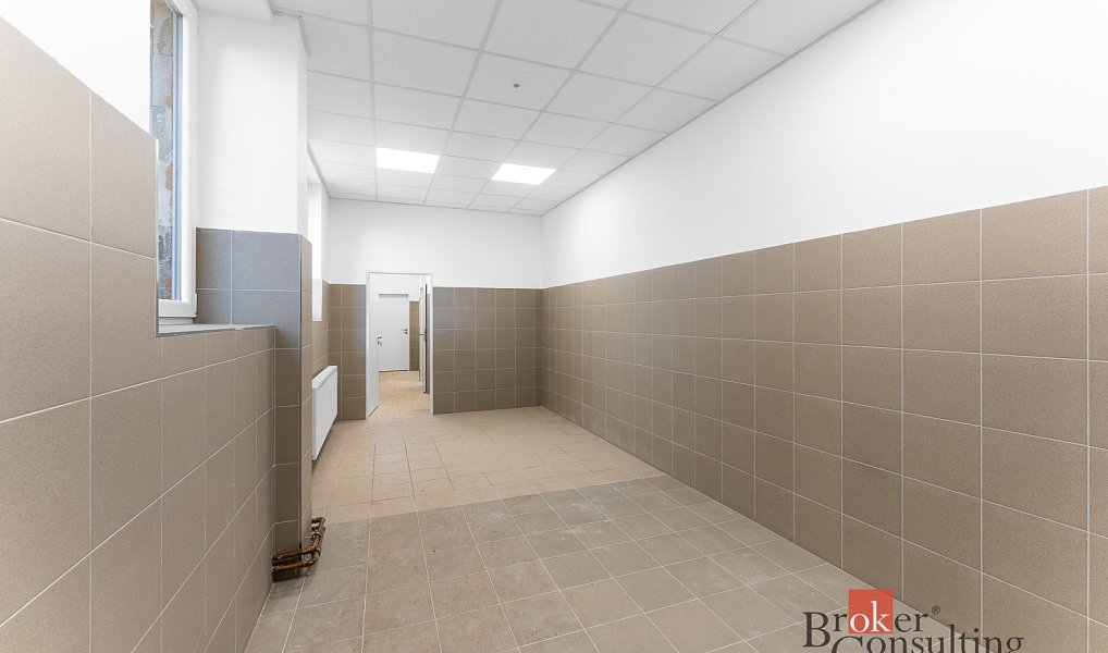 Pronájem skladovacích prostor 2 520 m², Jihlava – náhled fotky 15