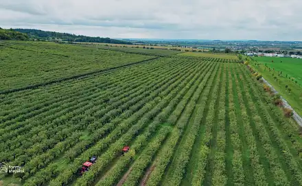 Prodej pole 13 966 m², Červené Pečky, okres Kolín