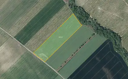 Prodej pole 21 043 m², Želkovice, okres Louny