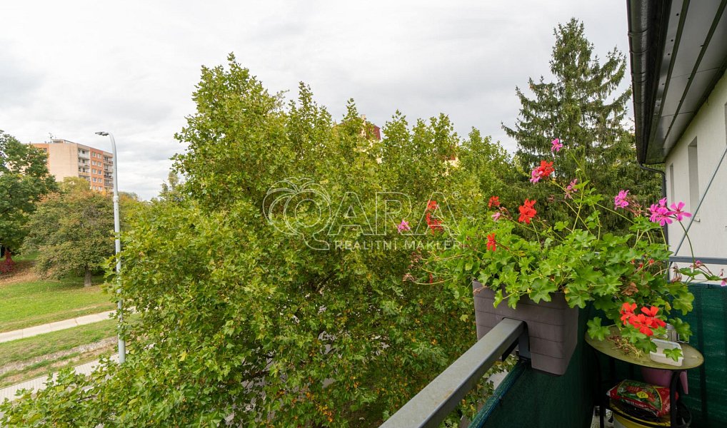 Prodej bytu 2+kk 53 m², Milovice – náhled fotky 8