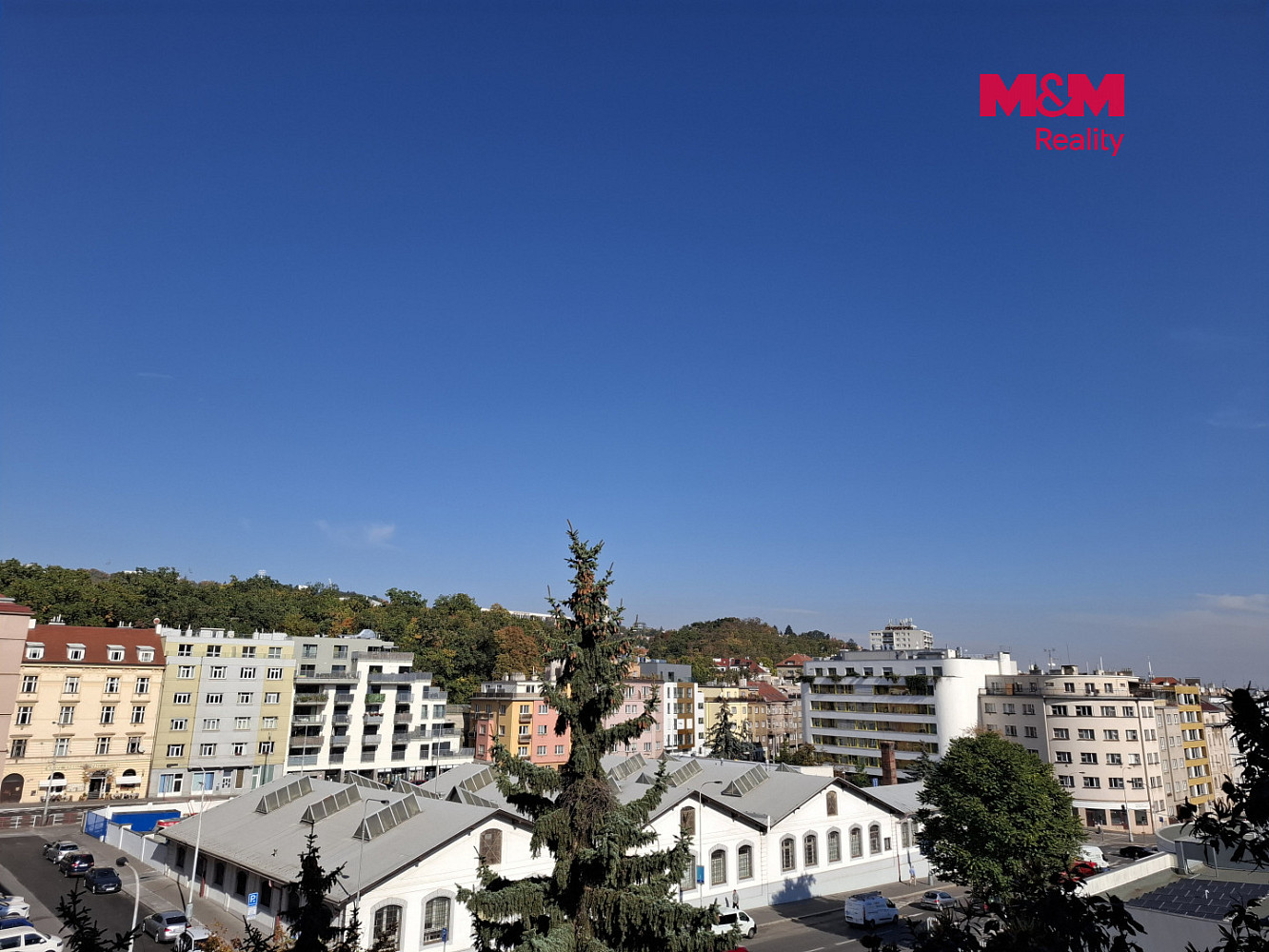 Fotka 8 z 15