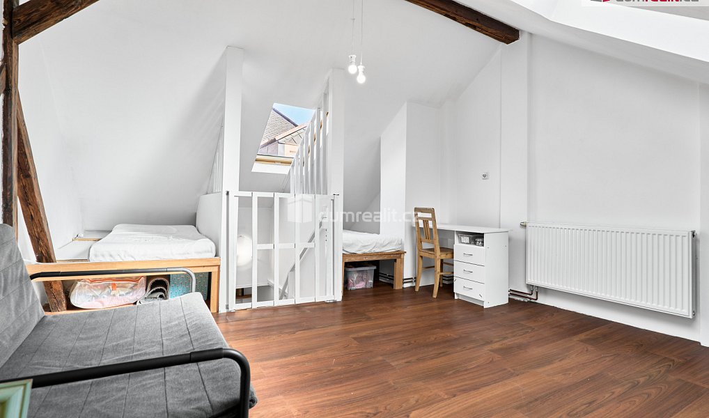 Prodej domu 100 m² s pozemkem 48 m², Ostrov – náhled fotky 17