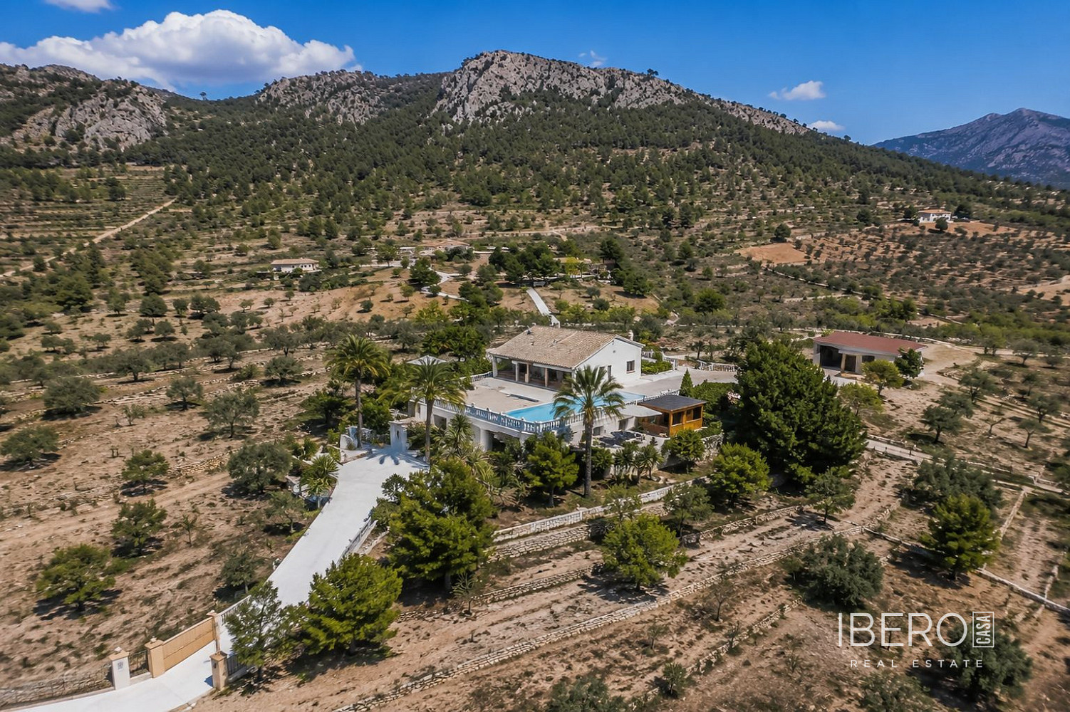 Fotka 16 z 18