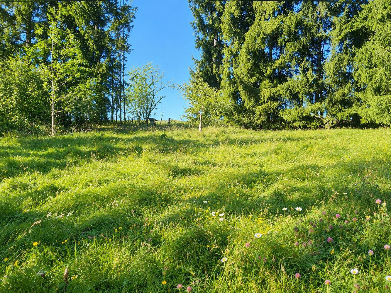 Prodej stavebního pozemku 1 074 m² – fotografie 3
