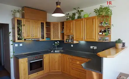 Pronájem bytu 1+kk 39 m²