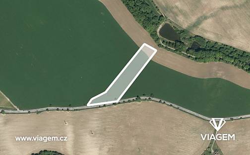 Prodej pole 2 336 m², Bačetín, okres Rychnov nad Kněžnou