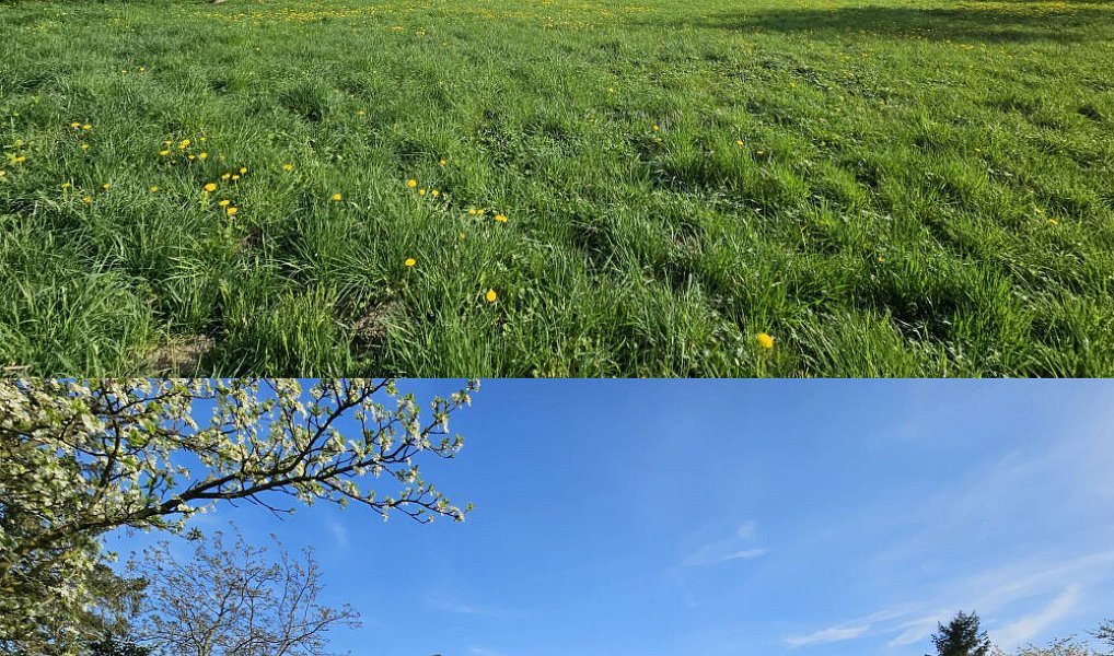 Prodej stavebního pozemku 1 185 m², Uničov – náhled fotky 13