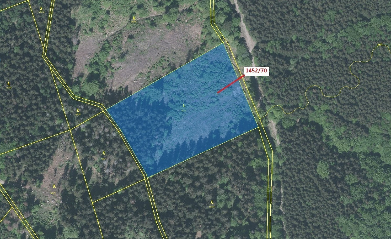 Dražba lesa 17 892 m² — photo 2