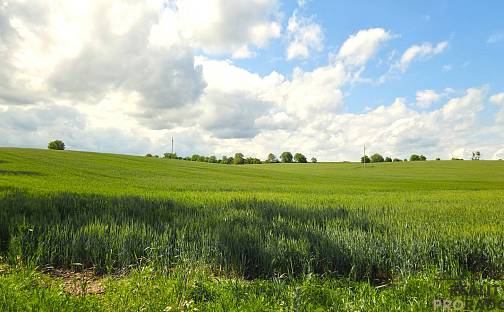 Prodej pole 2 649 m², Kyjov, okres Hodonín