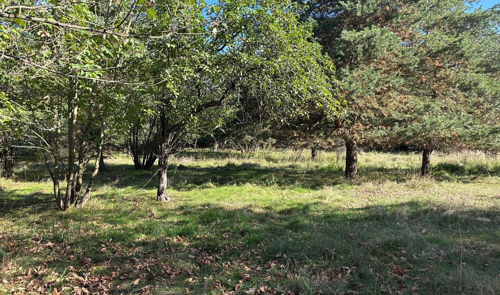 Prodej stavebního pozemku 3 530 m², Krhanice – náhled fotky 2