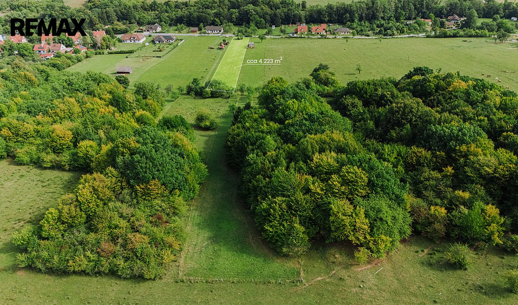 Prodej stavebního pozemku 4 223 m², Javorník – náhled fotky 4