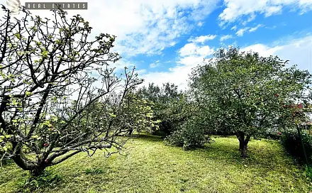 Prodej chaty/chalupy 223 m² s pozemkem 1 564 m², Velké Petrovice - Petrovice, okres Náchod