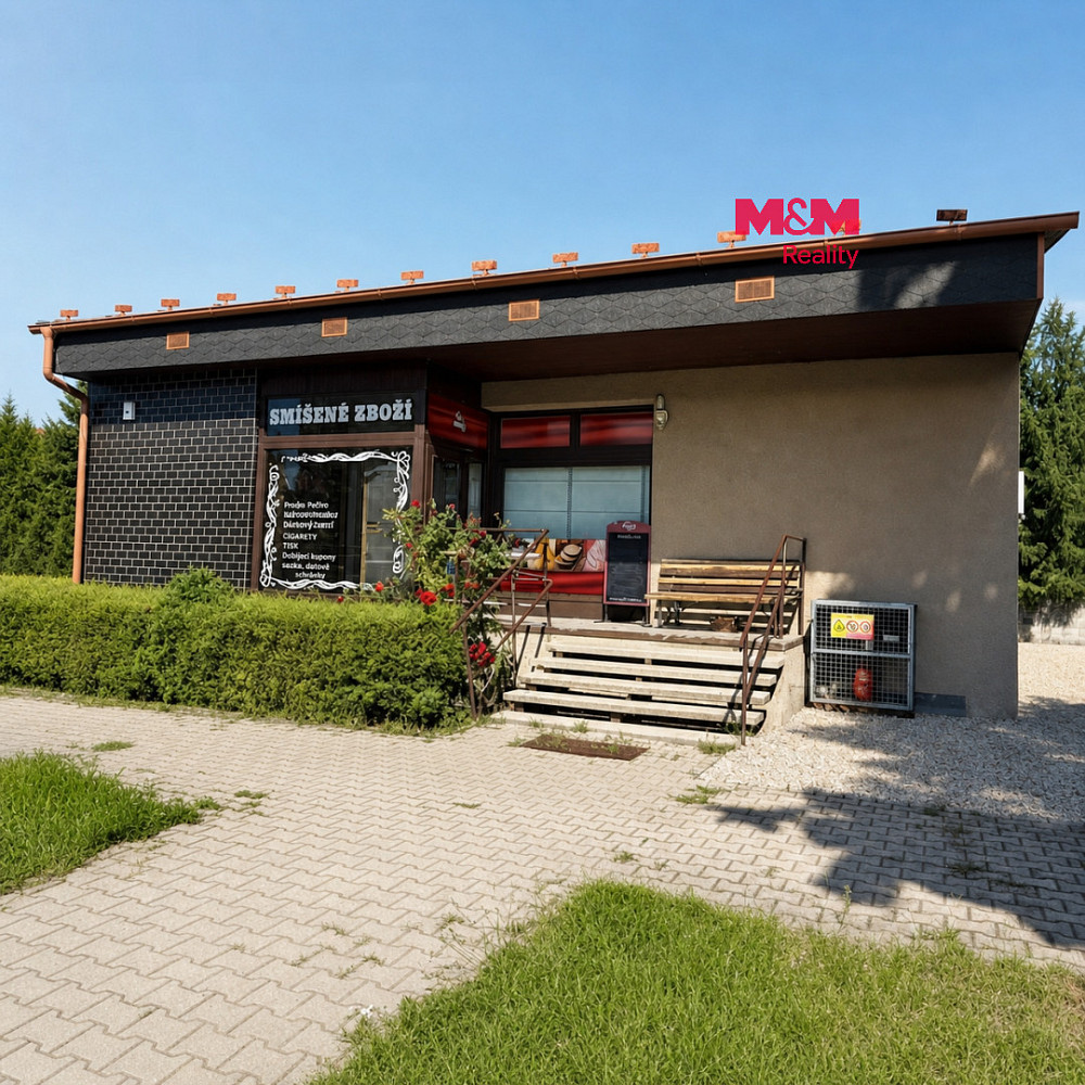 Pronájem obchodních prostor 1 007 m²