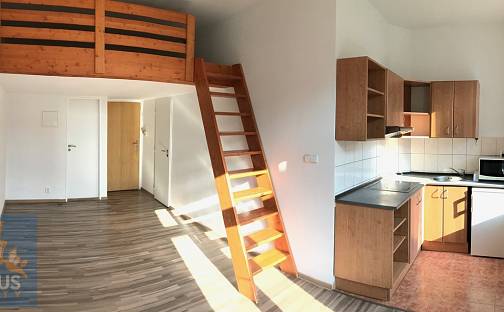 Pronájem bytu 1+kk 20 m², Freyova, Praha 9 - Vysočany