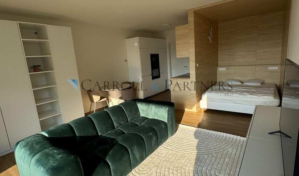 Pronájem bytu 1+kk 40 m², Ostrava – náhled fotky 10