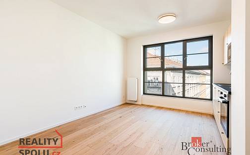 Pronájem bytu 1+kk 24 m², Bratislavská, Brno - Zábrdovice