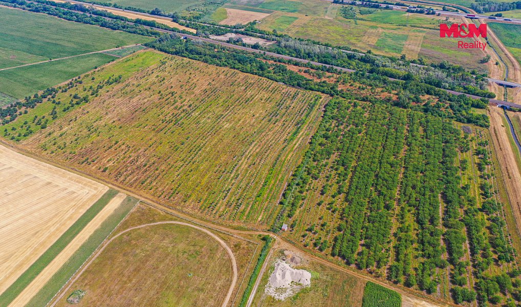 Prodej pole 12 442 m², Rakvice – náhled fotky 5