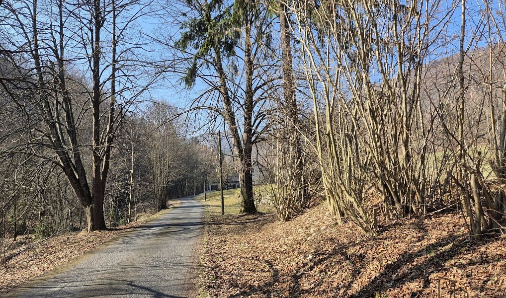 Prodej stavebního pozemku 2 189 m², Košařiska – náhled fotky 9