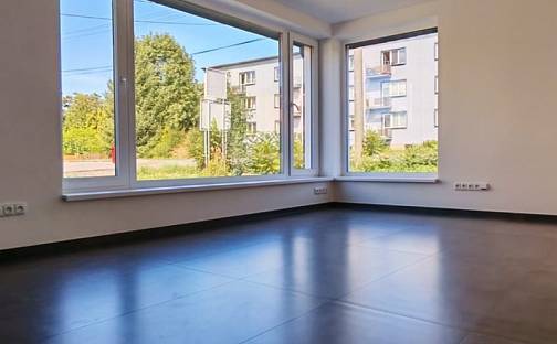 Pronájem obchodních prostor 44 m², Bystřice, okres Frýdek-Místek