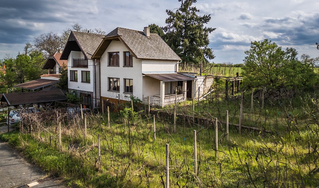 Prodej vinného sklepa s vinohradem ve Skoronicích, sklep + vinohrad Skoronice, Skoronice – náhled fotky 7