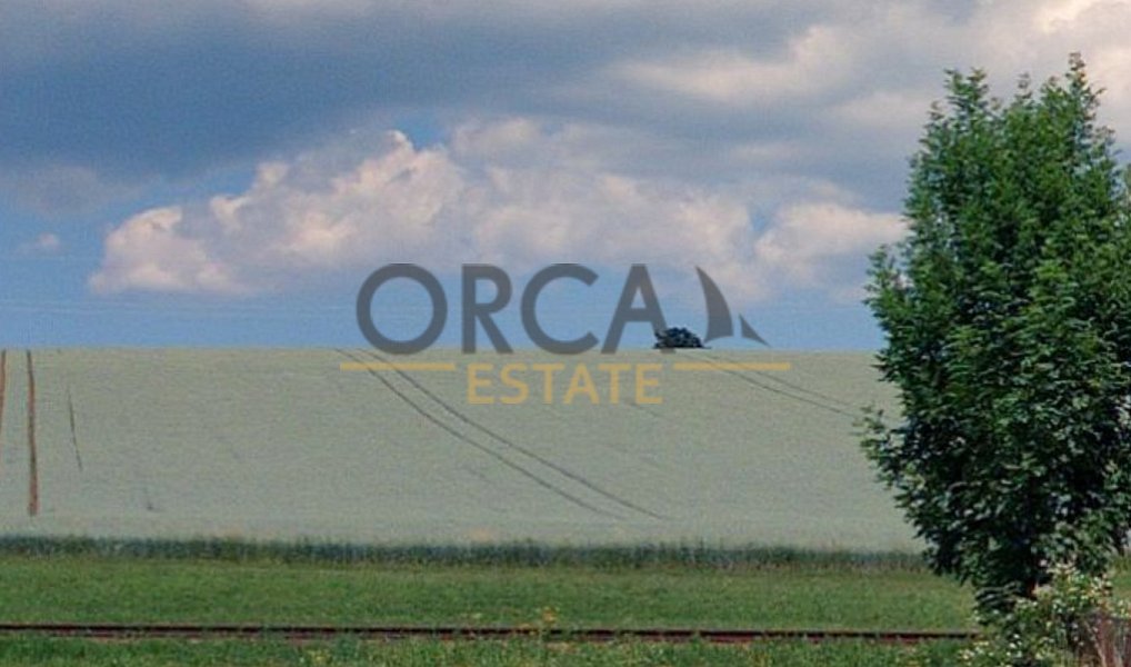 Prodej pozemku 9 362 m², Dolní Branná – náhled fotky 4