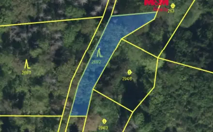 Prodej lesa 562 m², Řepníky, okres Ústí nad Orlicí