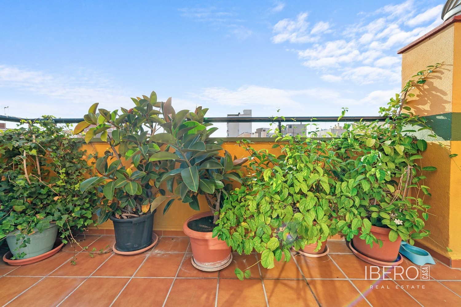 Prodej bytu 6+kk 269 m² — photo 3
