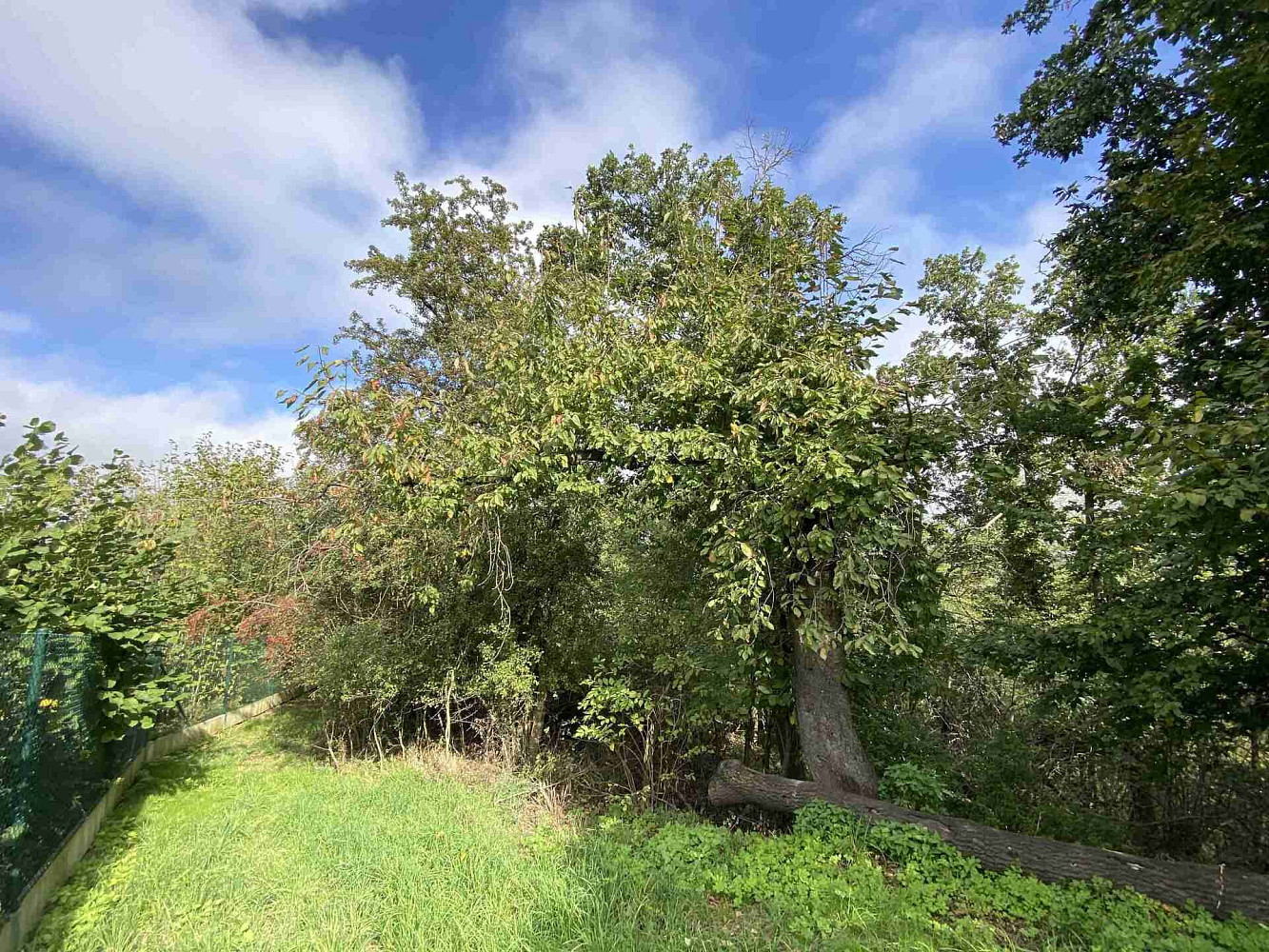 Prodej pozemku 764 m² - Widok 5