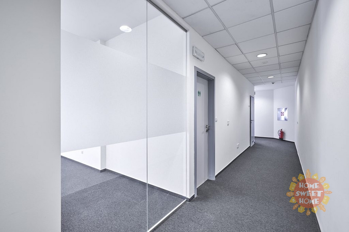 Pronájem kanceláře 246 m² — photo 4