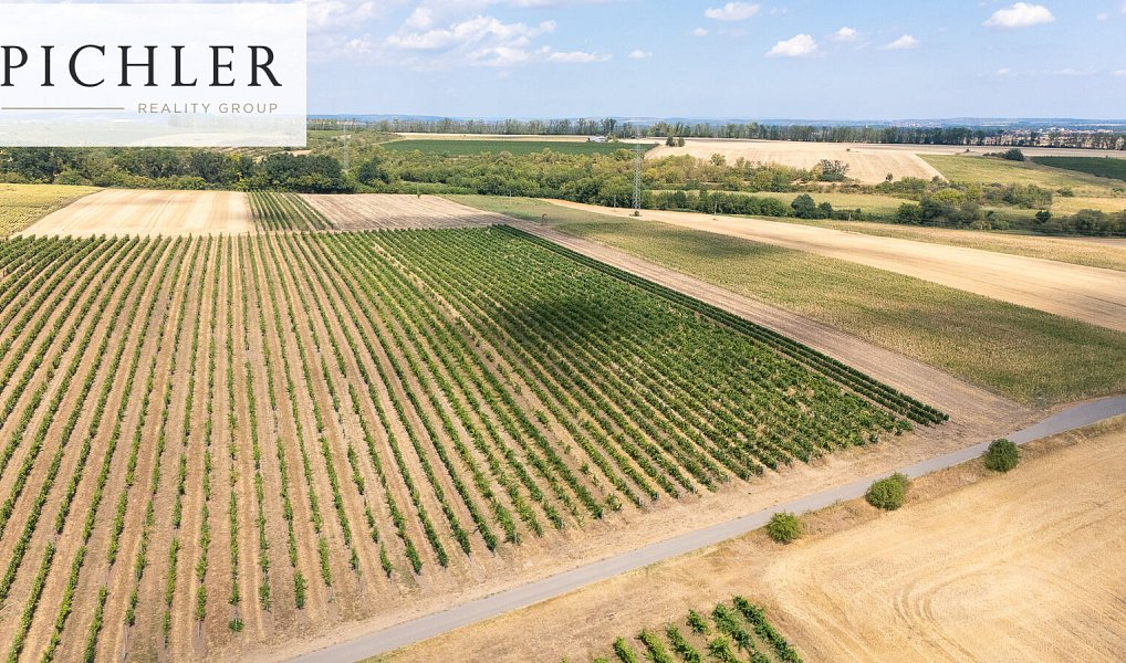 Prodej pozemku 24 332 m², Sedlec – náhled fotky 19