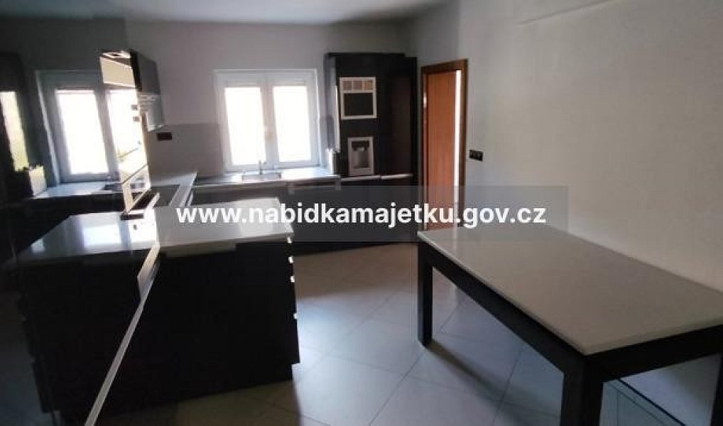 Prodej domu 767 m² s pozemkem 2 143 m², Drahňovice – náhled fotky 13
