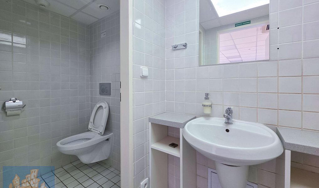 Pronájem obchodních prostor 278 m², Čestlice – náhled fotky 8