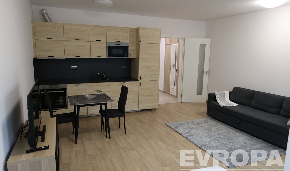 Pronájem bytu 1+kk 40 m², Praha – náhled fotky 3