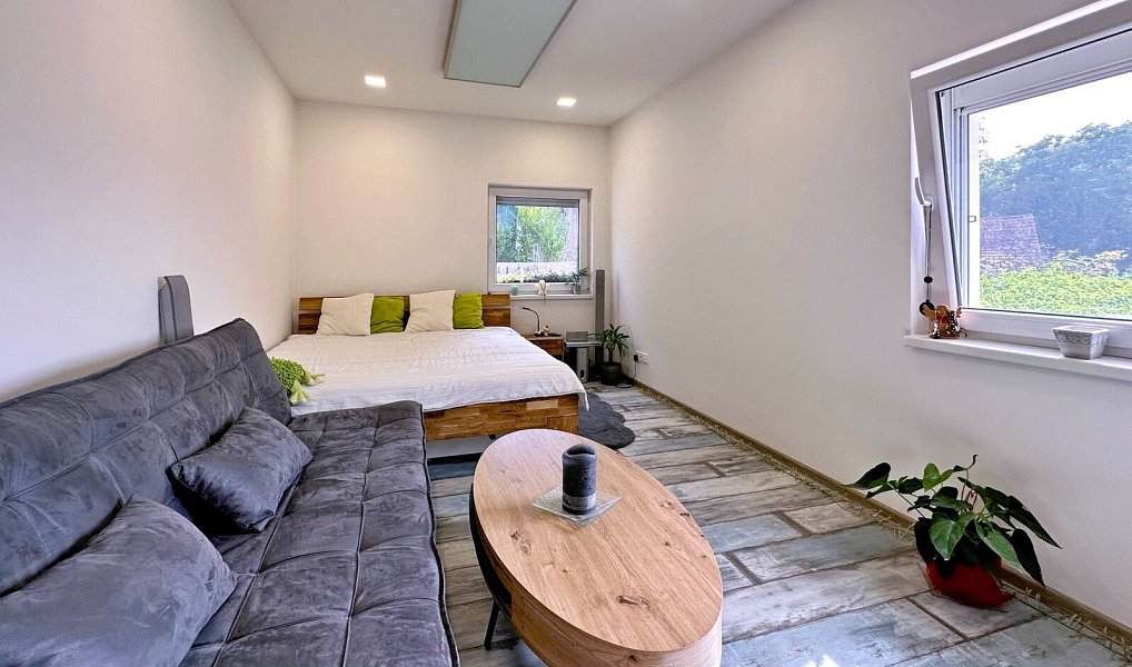Prodej domu 185 m² s pozemkem 456 m², Boršov nad Vltavou – náhled fotky 15