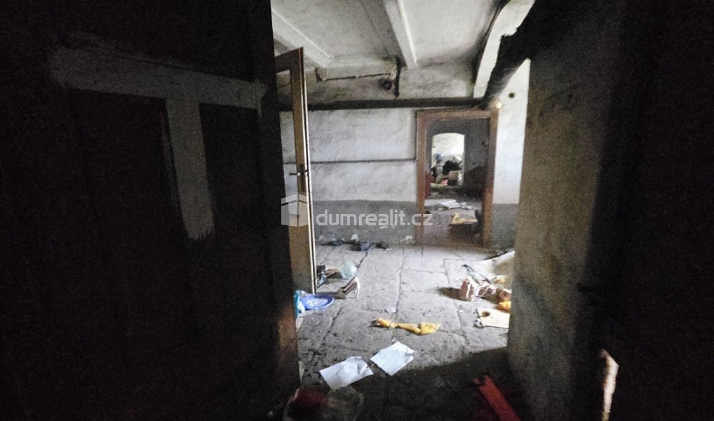 Prodej domu 300 m² s pozemkem 2 382 m², Dolní Beřkovice – náhled fotky 15