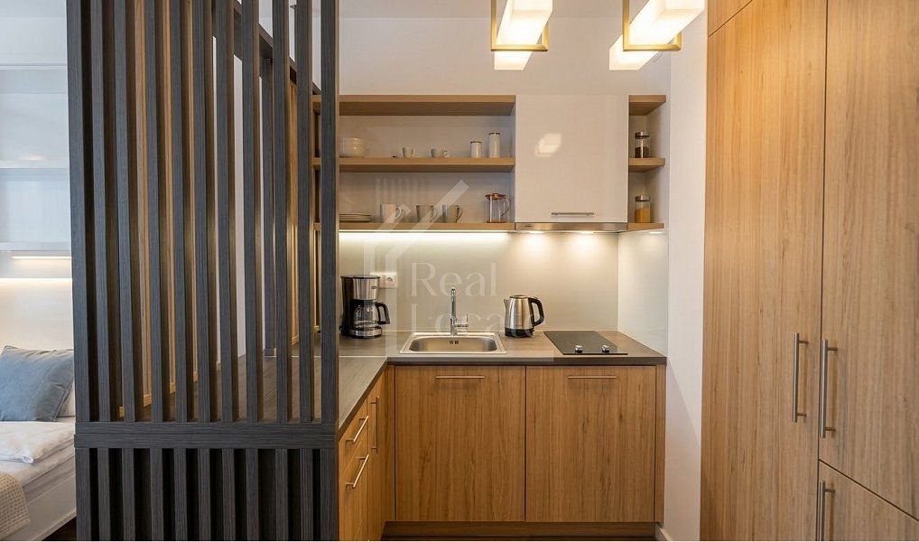 Pronájem bytu 1+kk 30 m², Praha – náhled fotky 3