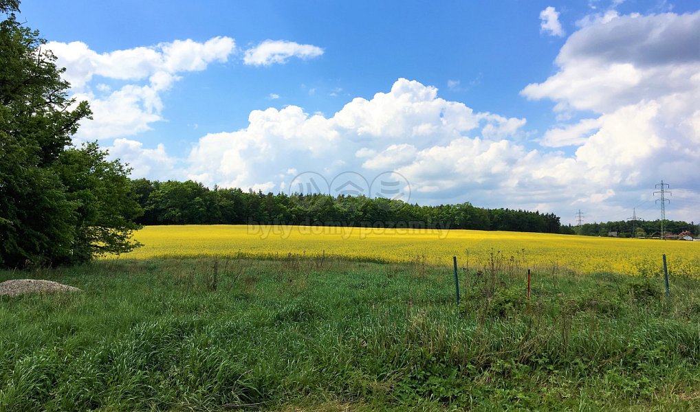 Prodej pole 14 579 m², Zruč-Senec – náhled fotky 4