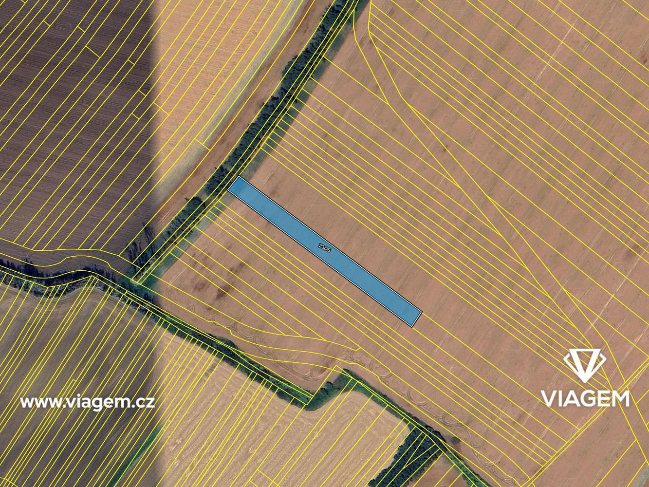 Prodej pole 4 389 m² – fotografie 4