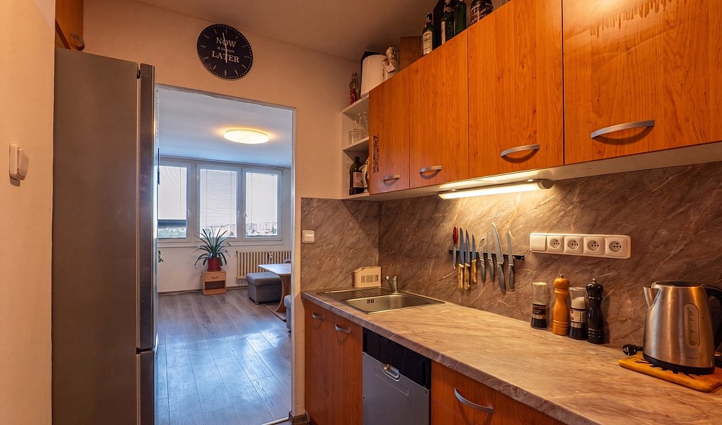 Prodej bytu 3+kk 62 m², Praha – náhled fotky 7